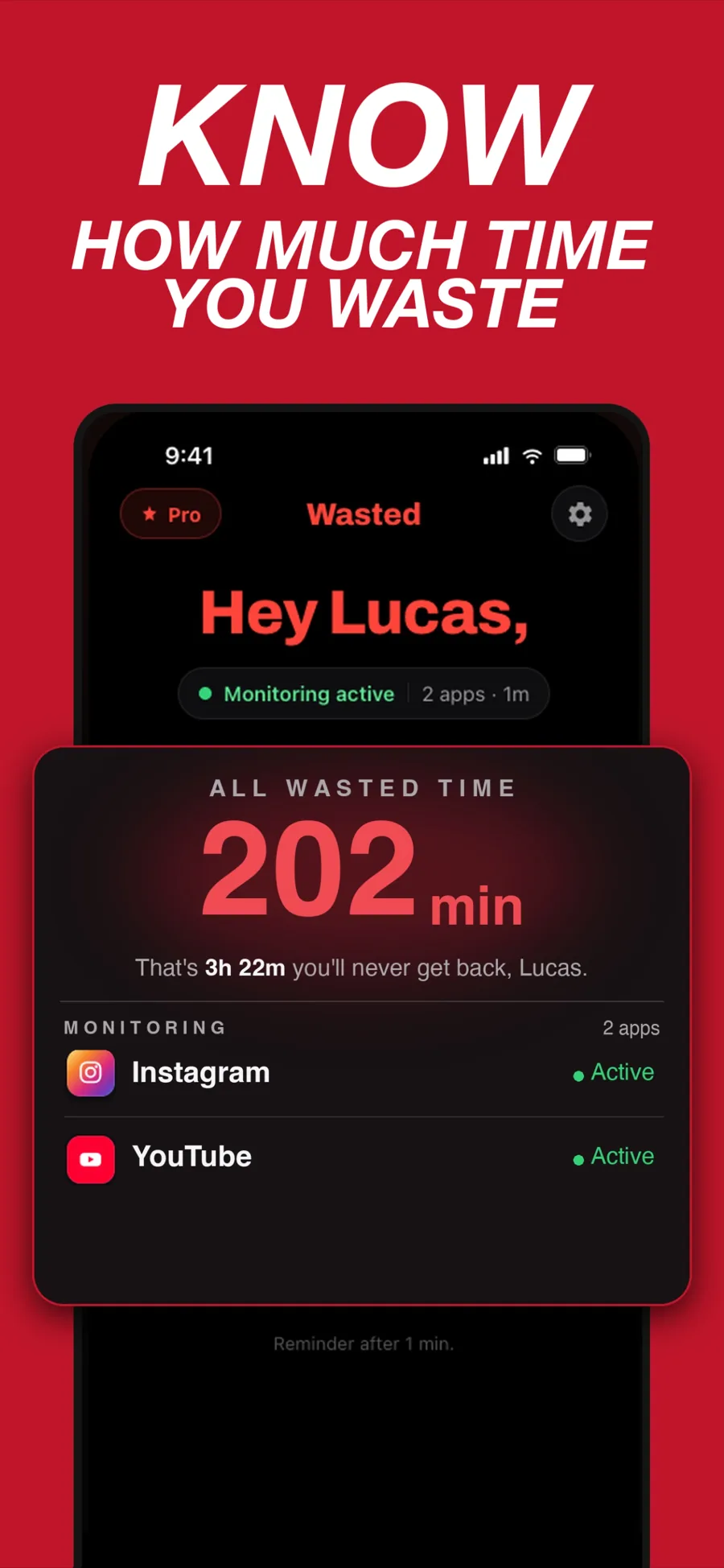 Wasted dashboard: all wasted time, 202 minutes, monitoring Instagram and YouTube.